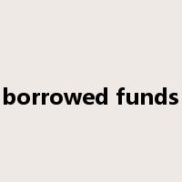 borrowed funds是什么意思