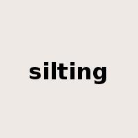 silting是什么意思