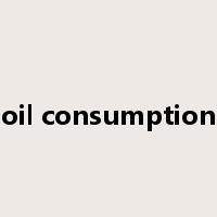 oil consumption是什么意思