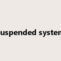 suspended system是什么意思