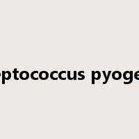 Streptococcus pyogenes是什么意思