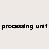 processing unit是什么意思