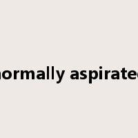 normally aspirated是什么意思