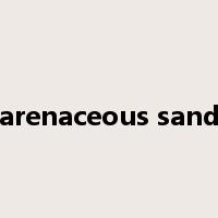 arenaceous sand是什么意思