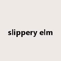 slippery elm是什么意思