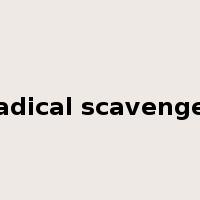 radical scavenger是什么意思