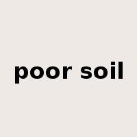 poor soil是什么意思