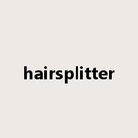 hairsplitter是什么意思
