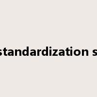 global standardization strategy是什么意思