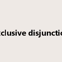 exclusive disjunction是什么意思