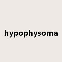 hypophysoma是什么意思