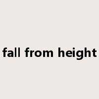 fall from height是什么意思