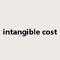intangible cost是什么意思