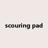 scouring pad是什么意思