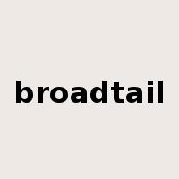 broadtail是什么意思