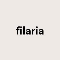 filaria是什么意思