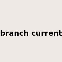 branch current是什么意思