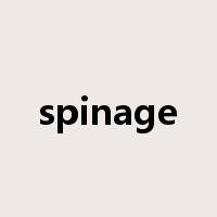 spinage是什么意思