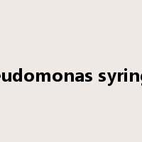 Pseudomonas syringae是什么意思