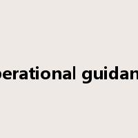 operational guidance是什么意思