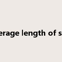 Average length of stay是什么意思