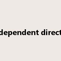 independent director是什么意思