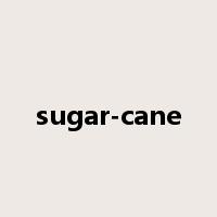 sugar-cane是什么意思
