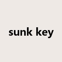sunk key是什么意思