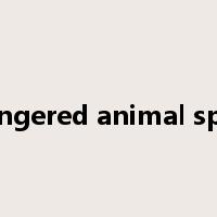 endangered animal species是什么意思