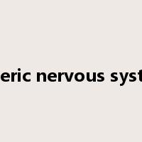 enteric nervous system是什么意思