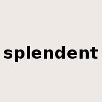 splendent是什么意思