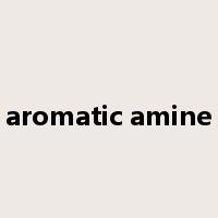 aromatic amine是什么意思