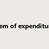item of expenditure是什么意思