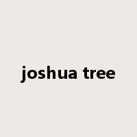 joshua tree是什么意思