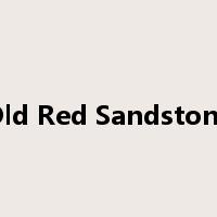 Old Red Sandstone是什么意思