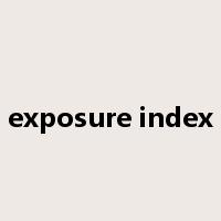 exposure index是什么意思