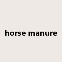 horse manure是什么意思