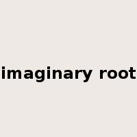 imaginary root是什么意思