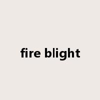 fire blight是什么意思
