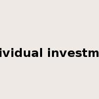 individual investment是什么意思