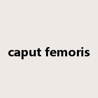 caput femoris是什么意思