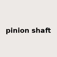 pinion shaft是什么意思