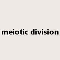 meiotic division是什么意思