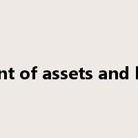 statement of assets and liabilities是什么意思