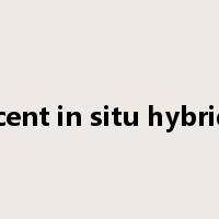 Fluorescent in situ hybridization是什么意思