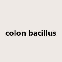 colon bacillus是什么意思