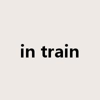 in train是什么意思