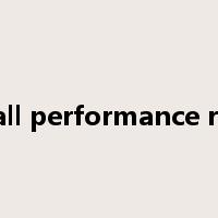 overall performance rating是什么意思