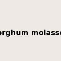 sorghum molasses是什么意思