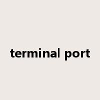 terminal port是什么意思
